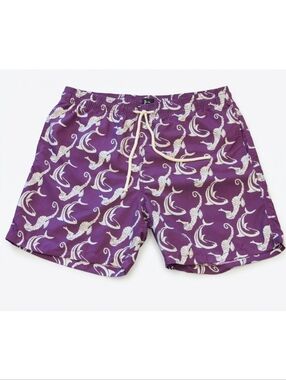 Roosevelt Del Mar Republic Swim Trunks Purple Seahorse Dolphin Print